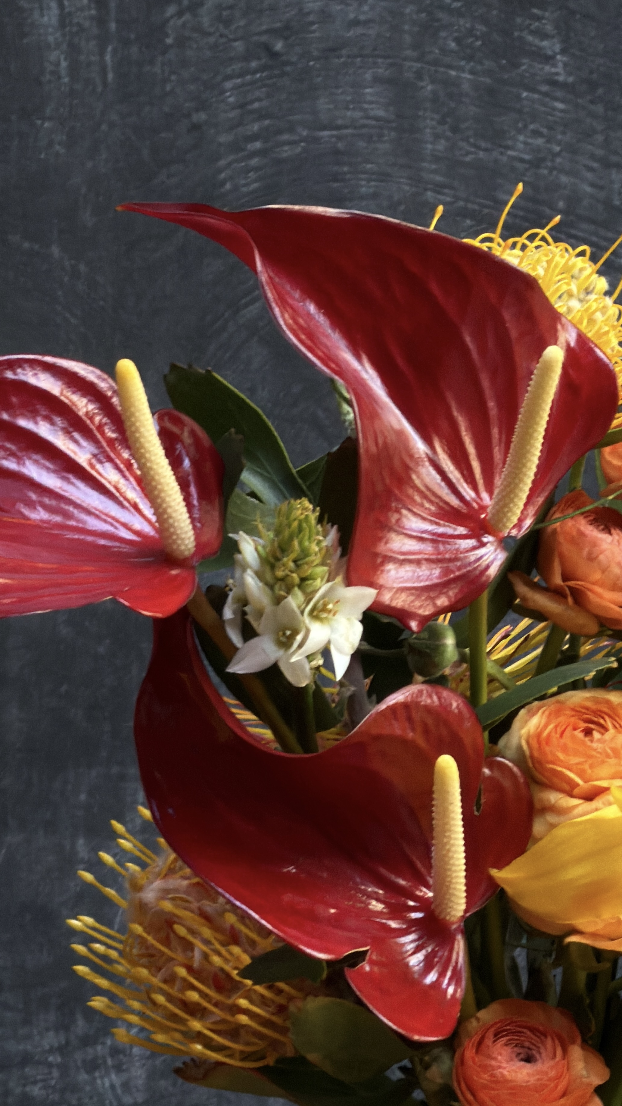 Red anthurium and ranunculus arrangement