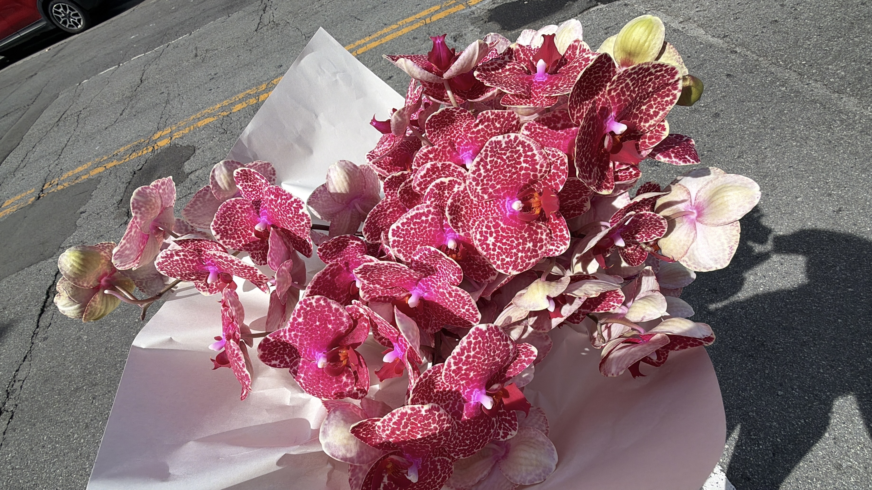 Floral arrangement